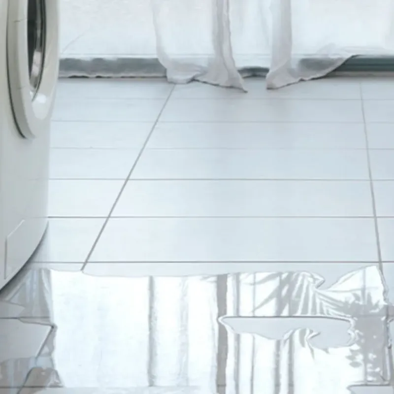 Appliance Leak Cleanup in Kaunakakai, HI